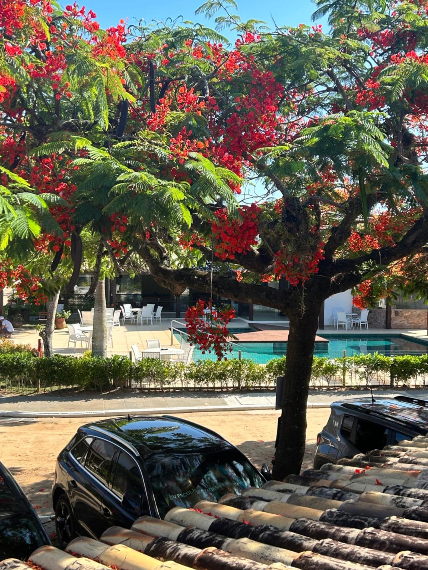 Casa Em Manguinhos-Buzios Villa Ngoại thất bức ảnh